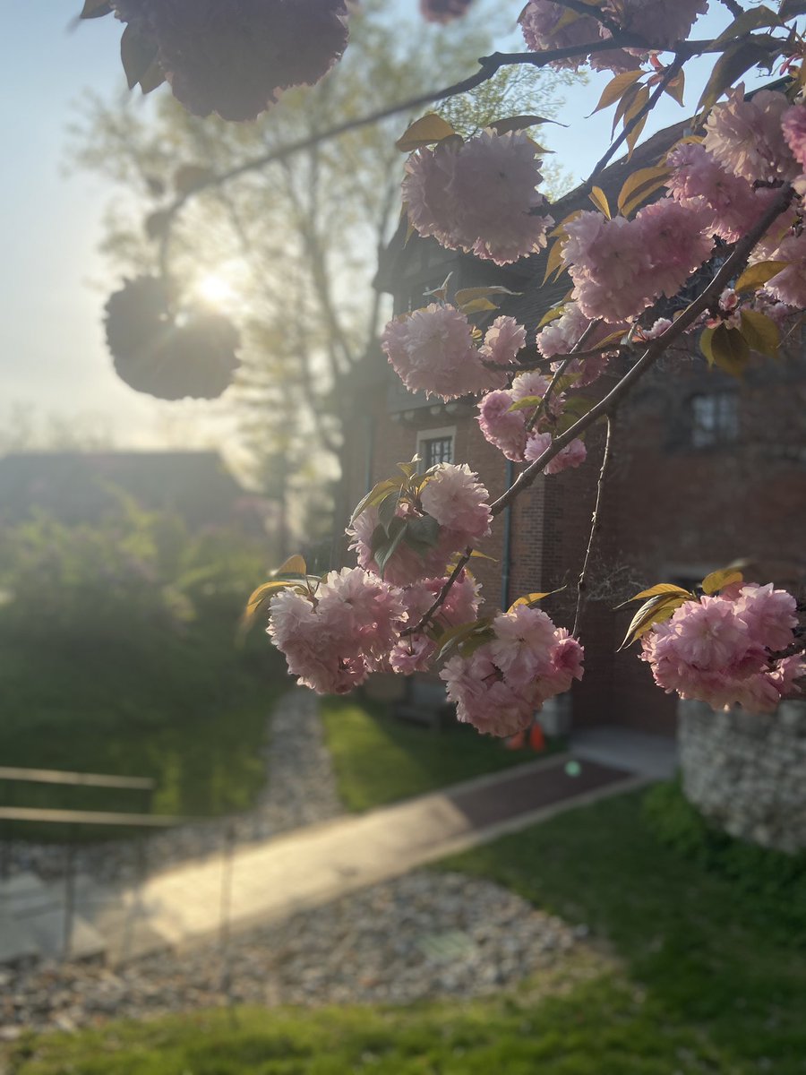 MattersContent's tweet image. #springtravels 🌸