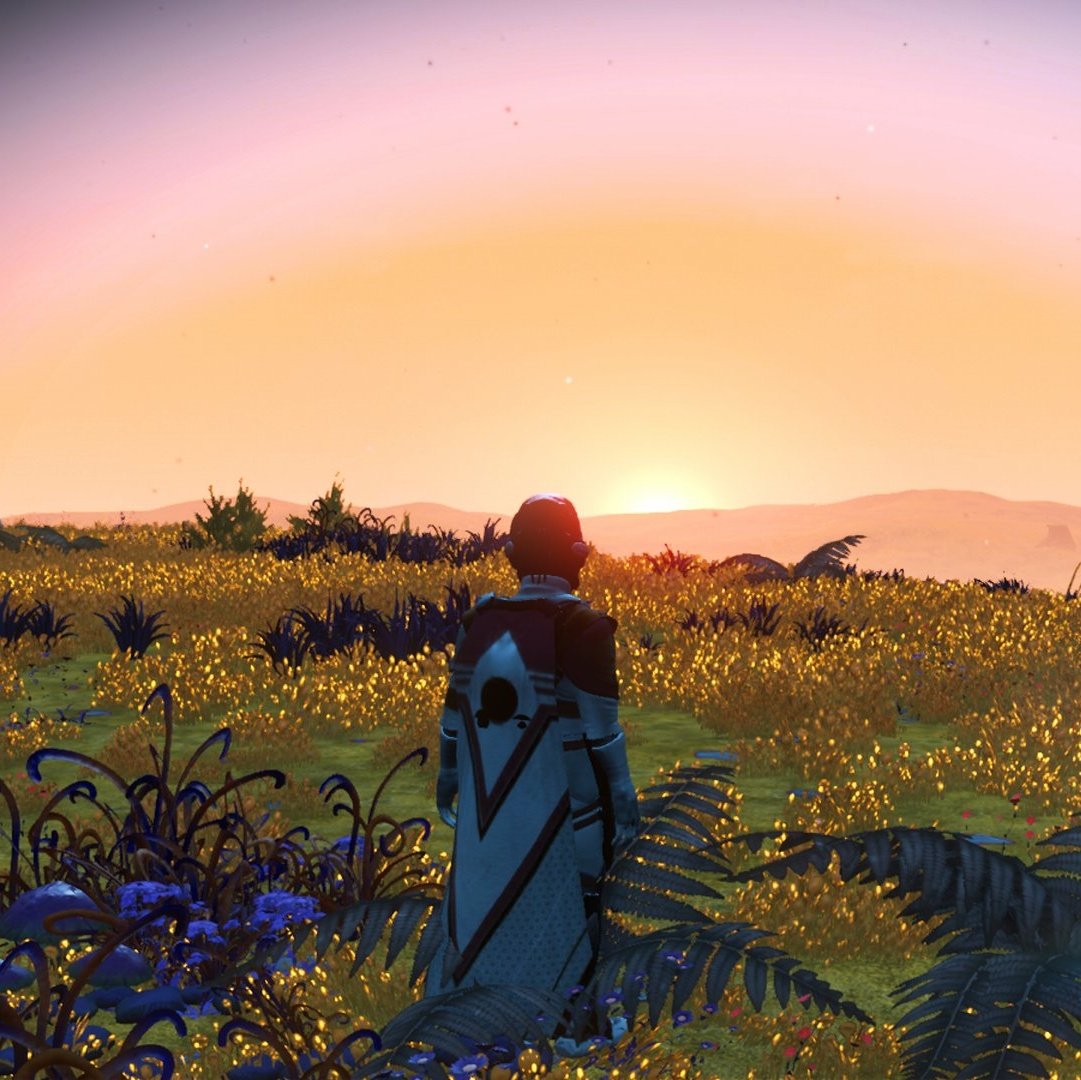 KambaExplorer's tweet image. #NewProfilePic