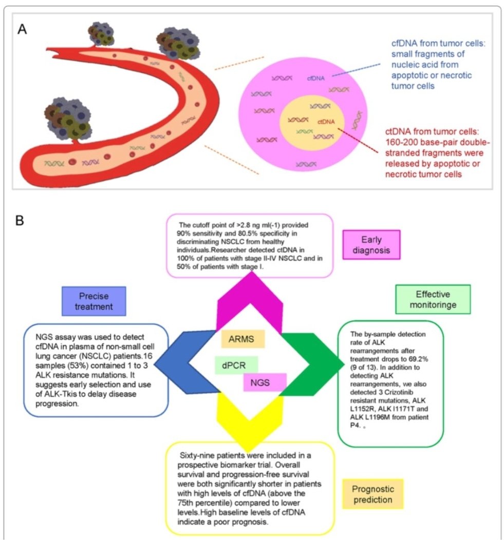 DrAmirAAhmed9's tweet photo. Liquid biopsy in lung cancer: significance in diagnostics, prediction, and treatment monitoring
#ctDNA #cancer #CancerResearch #CancerCurable #Genetics #liquidbiopsy #lungcancer https://t.co/Xf8BJN3IB5