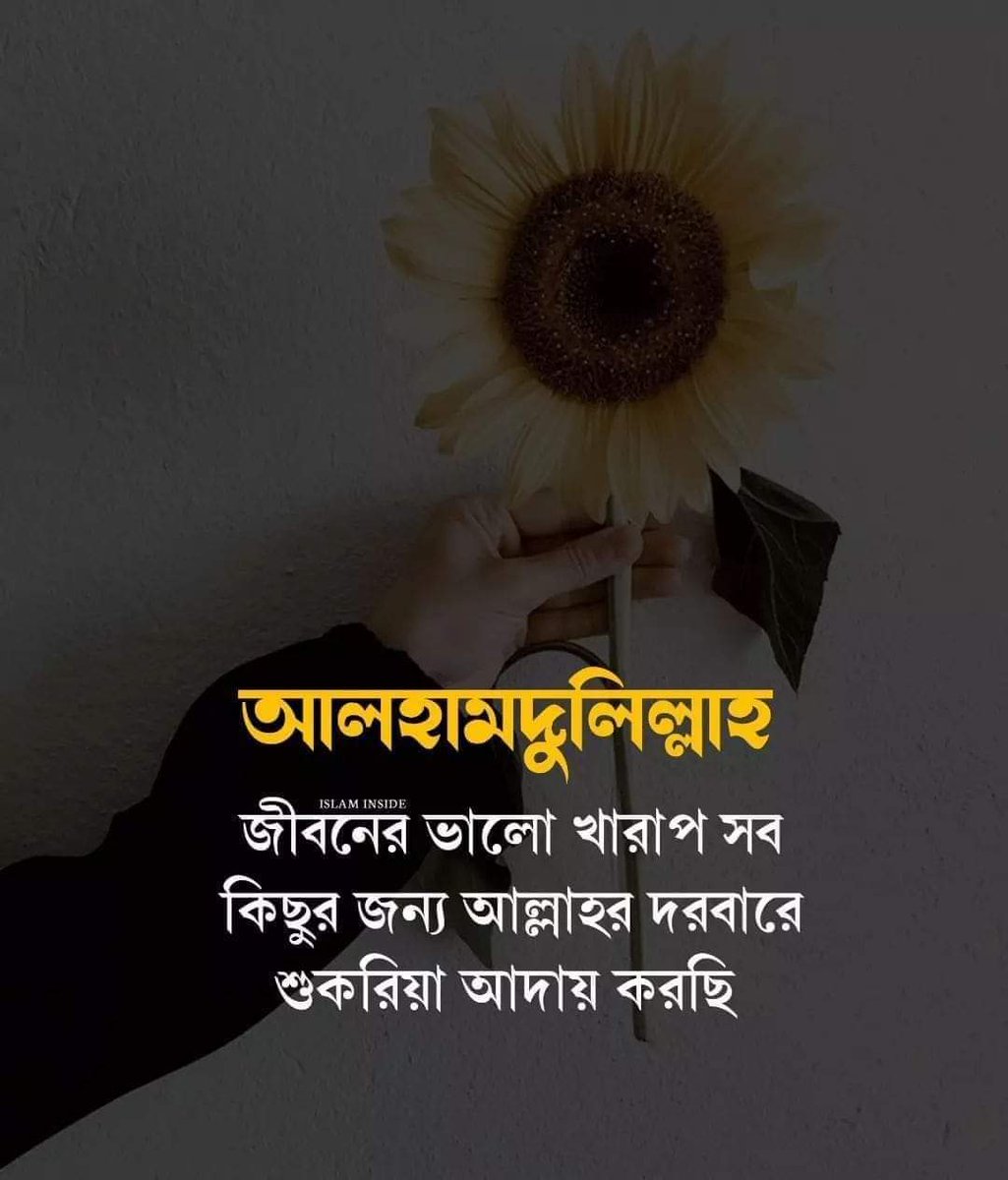 abutalha53's tweet photo. Alhamdulillah https://t.co/6moL1KU5Ce