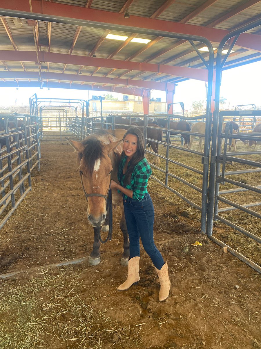 ArianaCohenTV's tweet photo. Love when my stories involve horses! #LakesideRodeo #cbs8 https://t.co/KaTovqMw1n