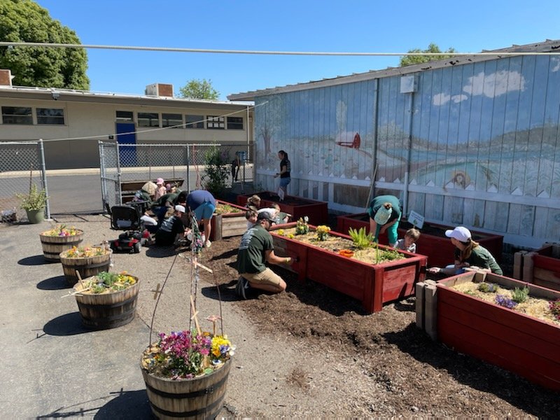 Orangethorpe Orcas tweet media