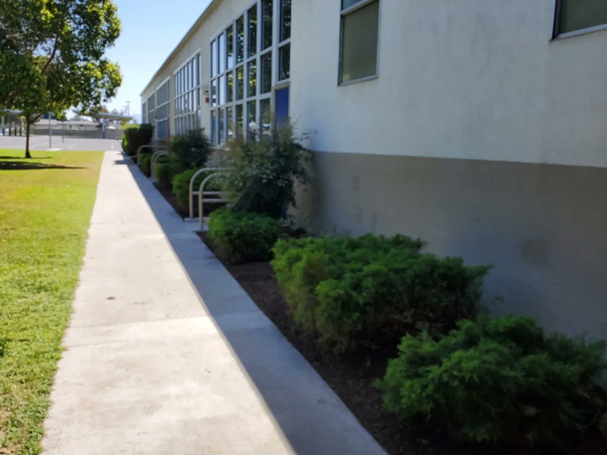 Orangethorpe Orcas tweet media