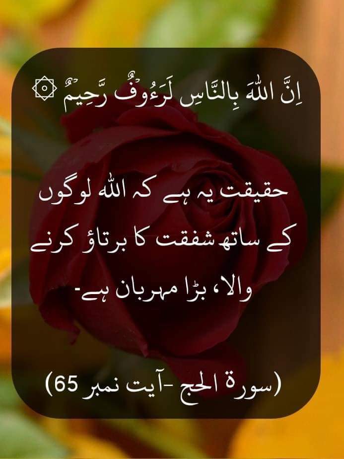 AhmadHashmi22's tweet photo. بے شک۔❤️ https://t.co/wvYyyGPwhH