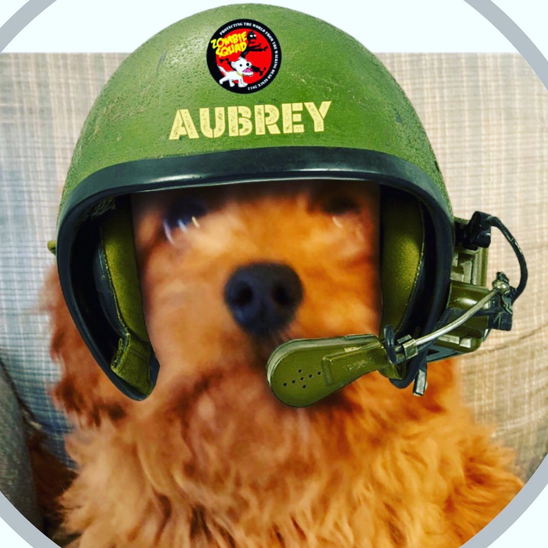 AubreyPrincess2's tweet photo. @rebeccastaab1 From one Princess to another! 💋💕 #ZSHQ https://t.co/I1D3o8MMPE
