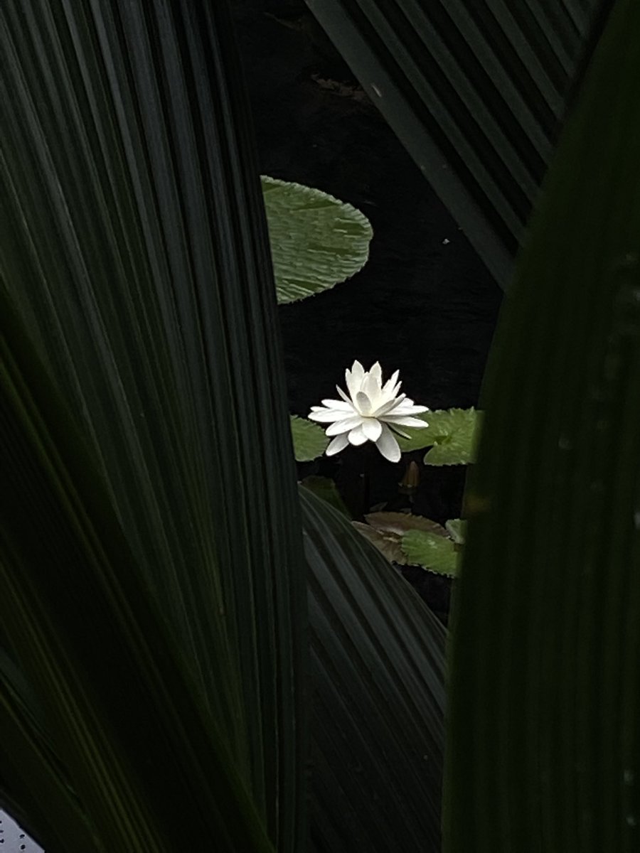 Pedro Aparicio Llorente (@_apar_) on Twitter photo 