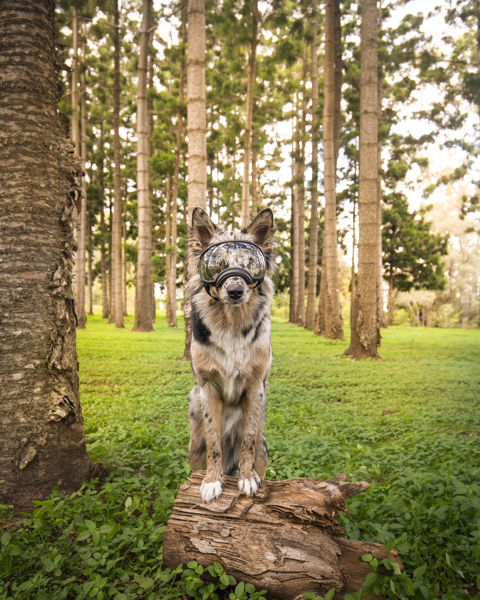 Courtraits tweet media