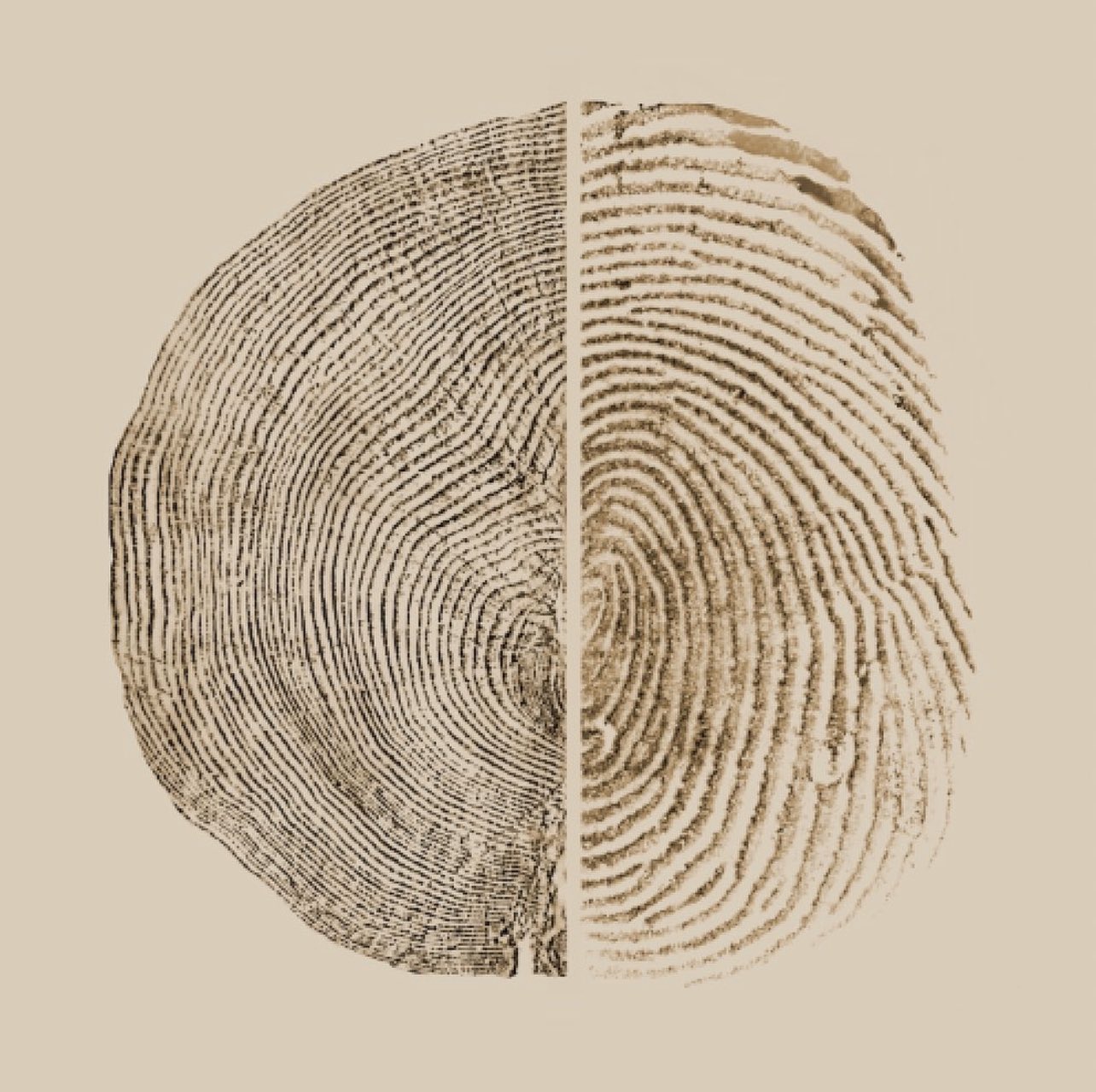 Clever art piece by Sonya and Nina Montenegro of a fingerprint and tree rings to remind us that we’re part of nature and connected to the more than human world. https://t.co/cHKPBQisoY