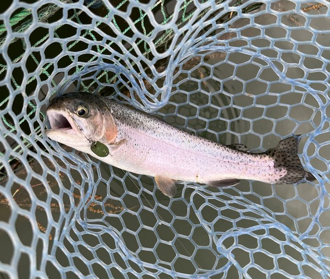 デイ&amp;ナイ。縦グローとか、自分でもどうかと思う・・・ 