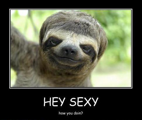 day_sloth's tweet photo. Visit Us @ Sloth of The Day
https://t.co/mXqe9I0Gbi
#sloth #slothoftheday #slothlove #slothlovers #slothfunny #slothcute #slothhabitat #wildlife #slothbaby #slothnewborn #slothmeme #slothmemes https://t.co/Gau7x0oDUq