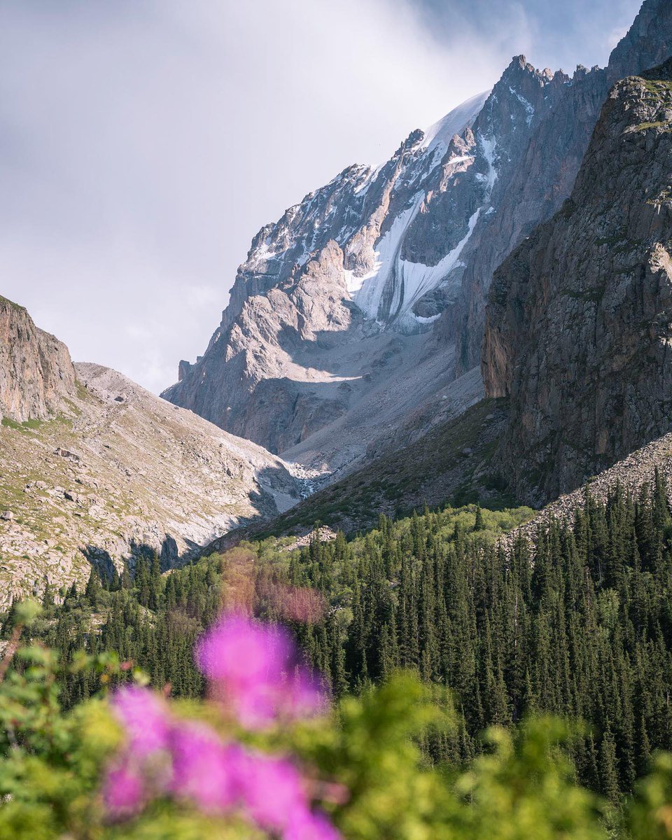 Visit Karakol tweet media