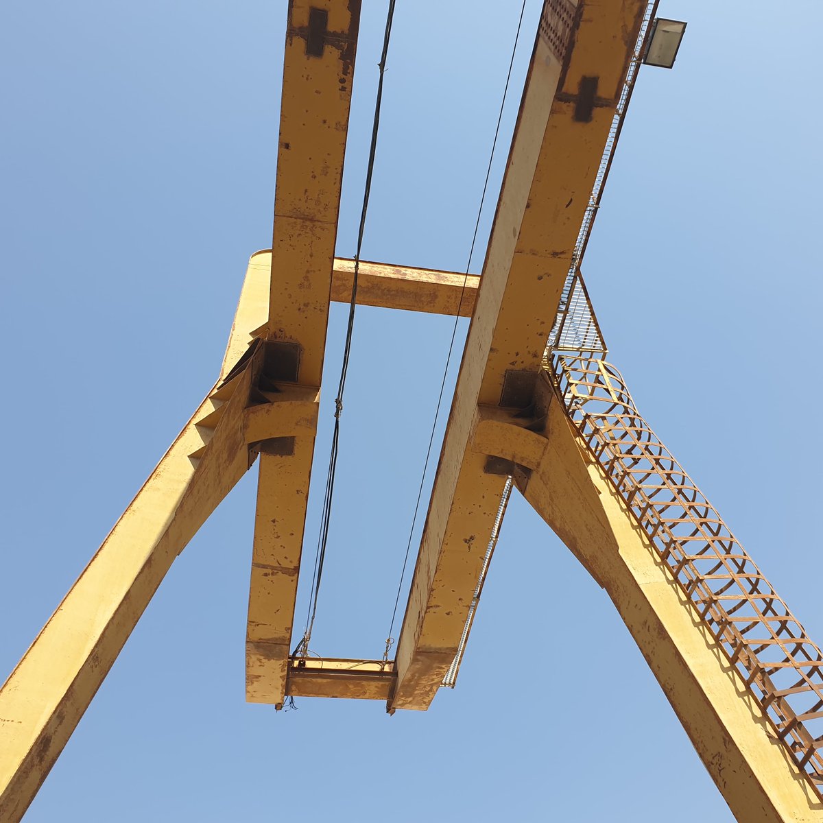 Profix Painting & Insulation Services tweet media