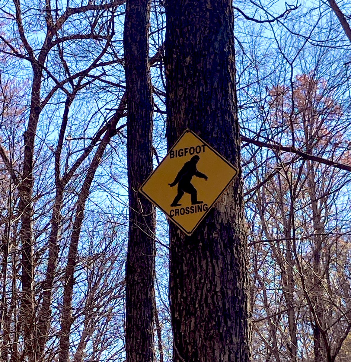 PalyJen's tweet photo. 6.5 hrs on the #Sheltowee today with my young colleague Kibria - northern terminus to the 8-mile first aid station (it was a trace marathon day!). Plants are running about 2- weeks behind, but temperatures made a dash for July! 🥵🥵🥵🥵🥵 https://t.co/qqE72roApf