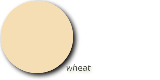 TheDailyColor's tweet photo. wheat https://t.co/vPtrVbhCmO 🌾 rgb(245,222,179) #f5deb3 #wheat ☝️ https://t.co/pTzHUP78Va