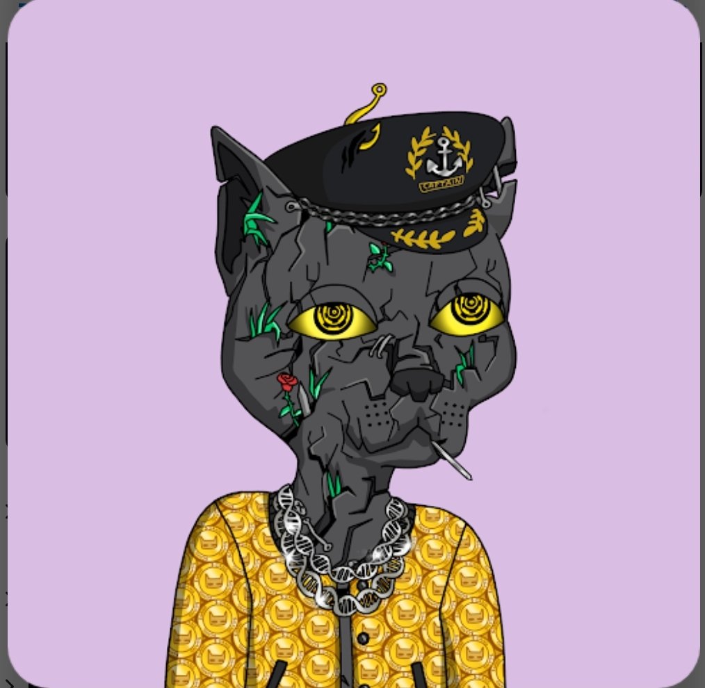 Nftraflesio's tweet photo. Giveaway in the next 45 minutes. Don't sleep 
❤️ &amp; retweet
Share 
Follow 
#Giveaway #NFTGiveaway #NFTCommunity #Gang #GutterCatGang #Caturday https://t.co/hAu4C1MjDi