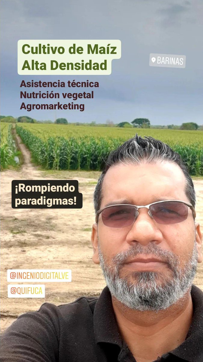 IngenioEnDatos's tweet image. La #agricultura en Venezuela, de la mano de productores comprometidos... están rompiendo paradigmas. Y ahí estamos, acompañándolos.

#ElCampoEsFuturo