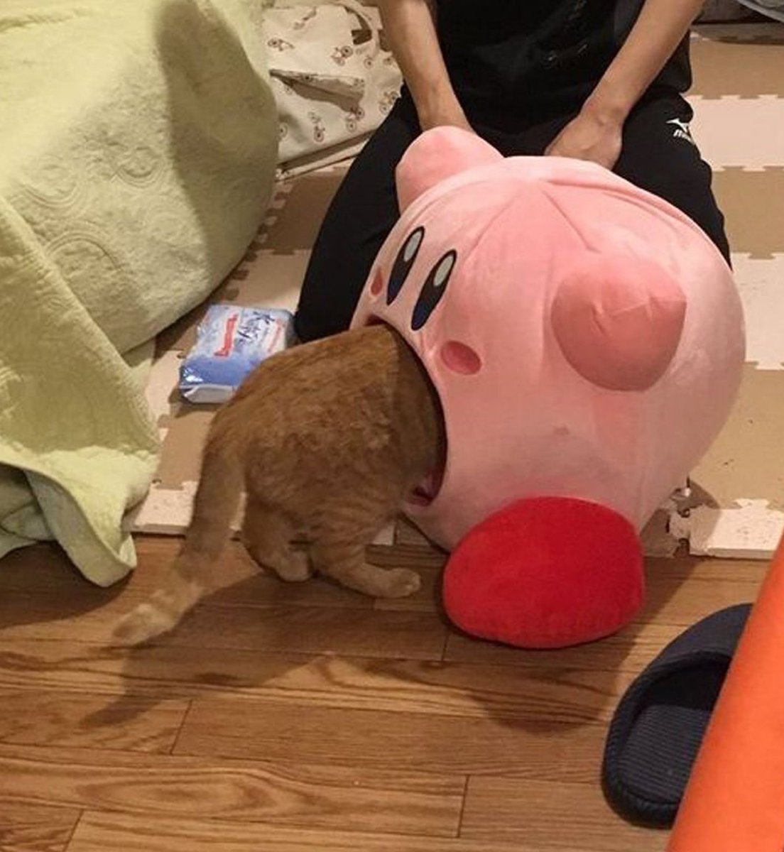 kapebeansies's tweet photo. https://t.co/tZCph5mxCZ