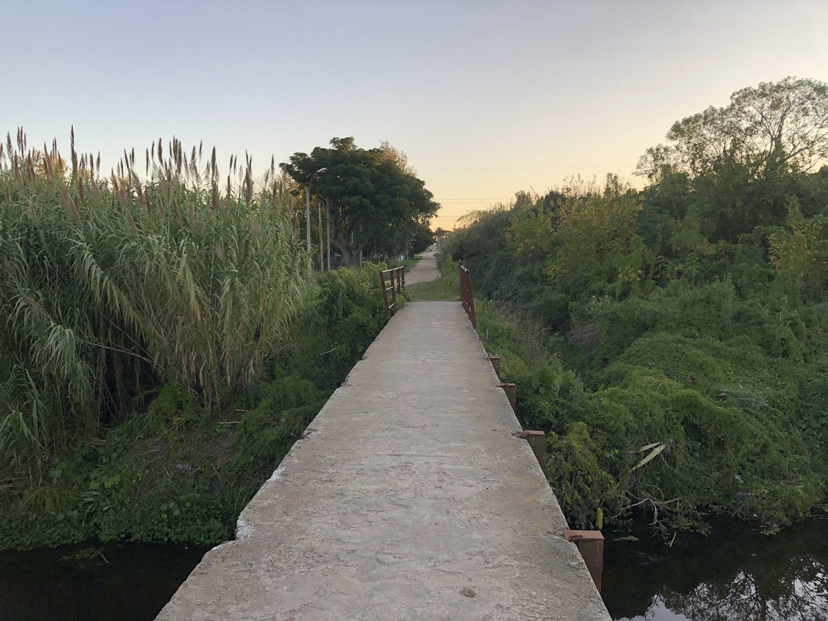 jimeesoto's tweet photo. Niños, niñas y familias tienen que pasar diariamente por este puente sin la mínima de seguridad (una baranda). 7 metros para abajo un arroyo con un máximo de medio metro de profundidad. @montevideoIM Km 16 camino maldonado, arroyo manga. https://t.co/LcPHfE4IWN