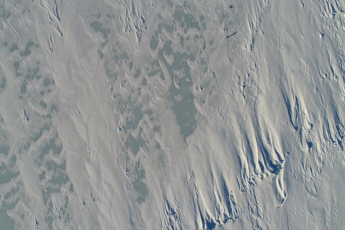 Lots of exposed surface on the second-year ice near Nansen Sound.

The refrozen melt ponds are a stunning blue.
