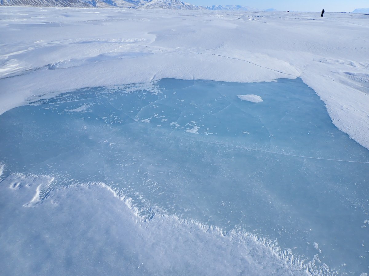 Josh King tweet media