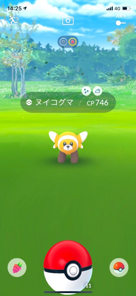 まいこ ポケ垢 Lovemaipo Twitter
