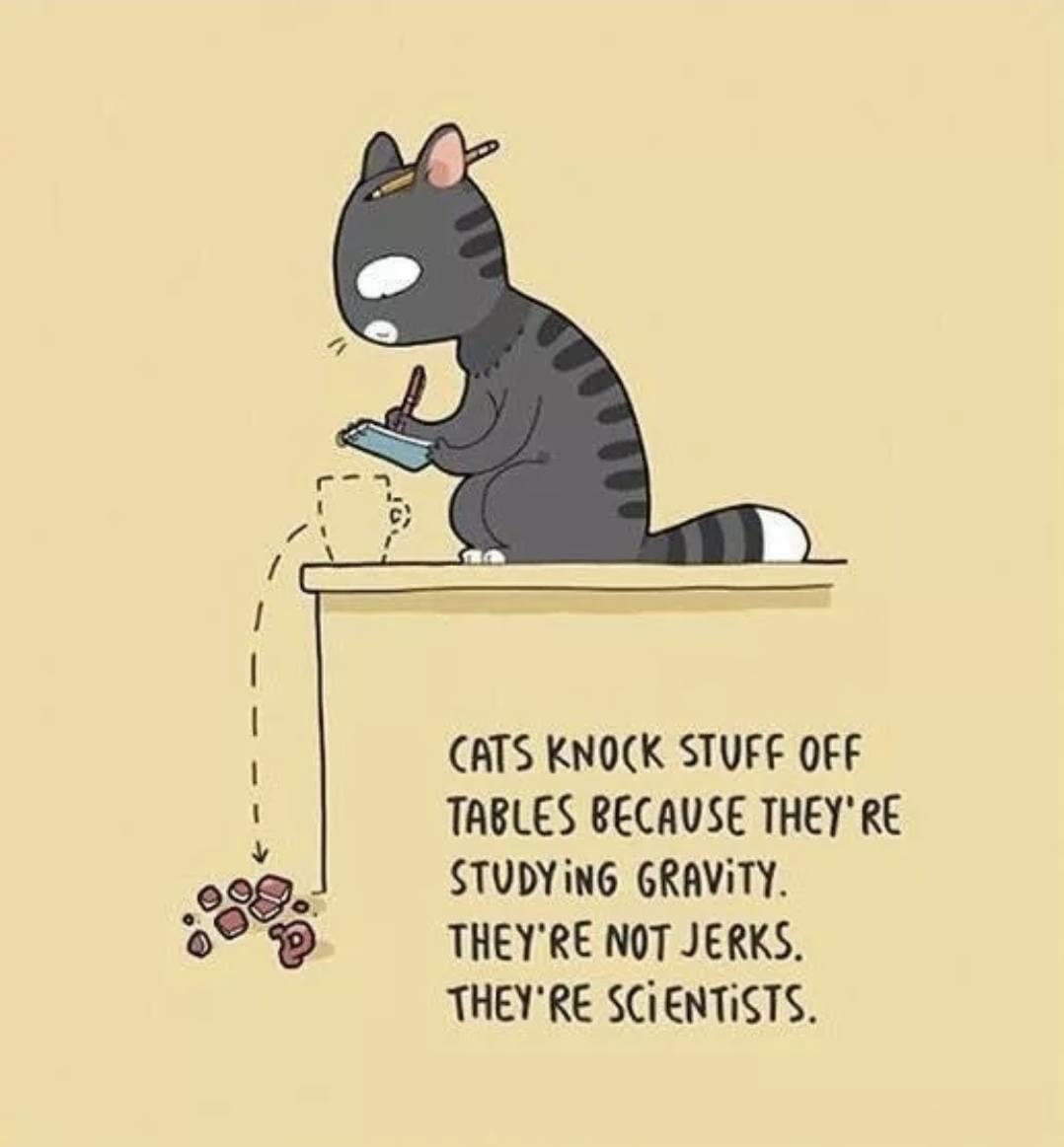 TwoFox15's tweet photo. In case you were wonderingโฆ
The next time your cat knocks something onto the floor, #ItsForScience! ๐
Happy #Caturday! I hope youโre having a great #Saturday!
#Cats #Gravity #Science https://t.co/MxdVbDjxcO