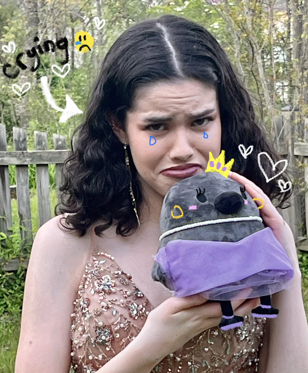 dialtenhof's tweet photo. doodle is off to prom 😪😪 i’m crying they grow up so fast #pcrowplush @abby_bagel @PointCrow https://t.co/AybRL2i6xn
