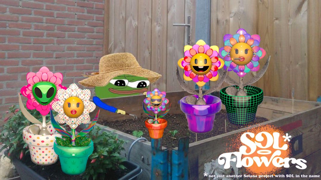 It's been a while posting a new thread about @solflowers_io 

but LFGROW!