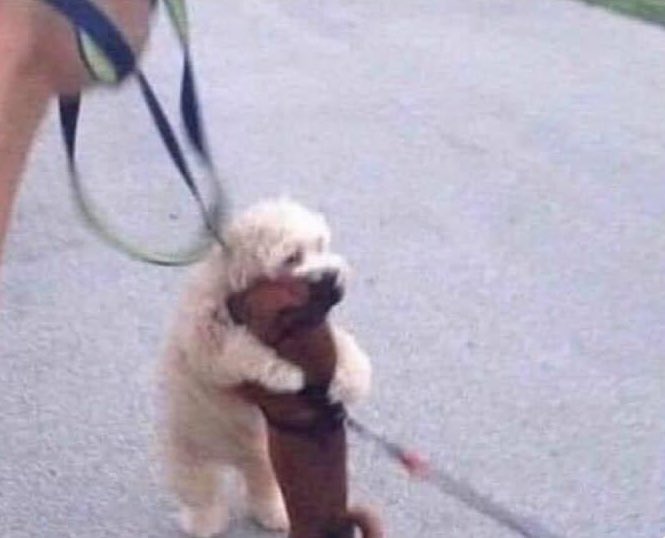 Guarromantico_'s tweet photo. Yo cuando vuelva a ver a mi compa: https://t.co/wfckeGQIdp