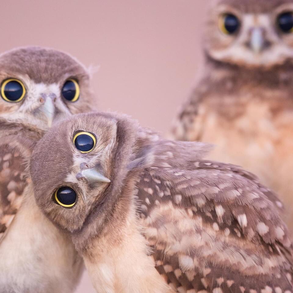 UnvirtuousAbbey's tweet photo. Actual photo of the Mother, Son, and Holy Spirit wondering how you are?

(Photo by @tinmanlee ) https://t.co/GDXzsDCq7R
