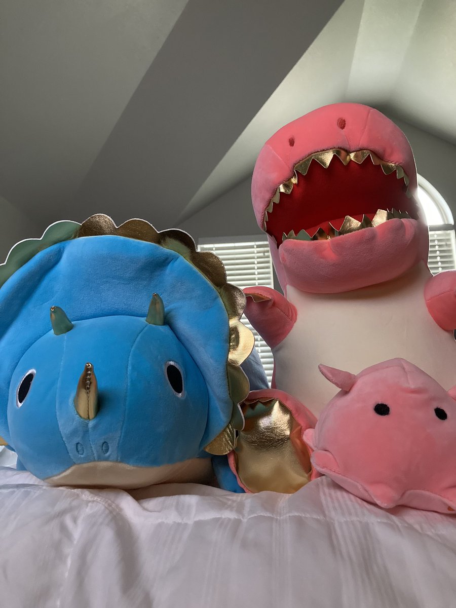 babykyabetsutv's tweet photo. Successful Round1 date https://t.co/rJjYzCSooJ