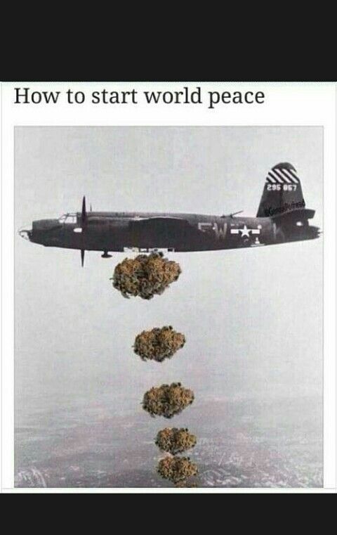 cannabishub's tweet photo. There's some truth here...

#maryjane #indica #sativa #weed #mmj https://t.co/fQAhYvfIJW