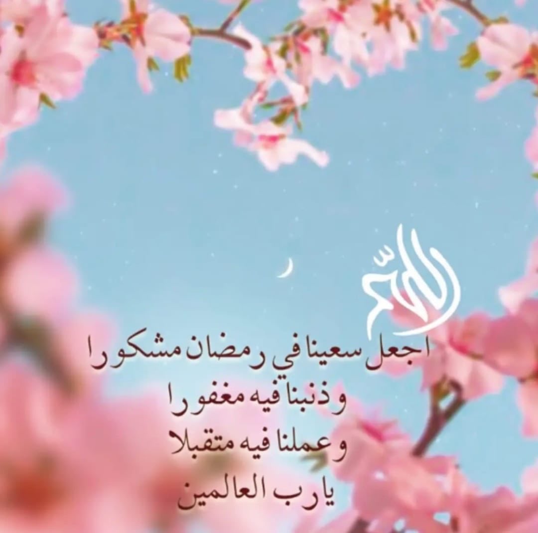 s3aad_'s tweet photo. https://t.co/yOAhPKoFVo