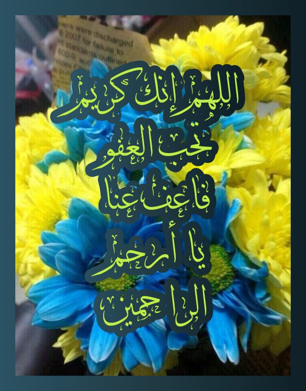 TayfourM tweet picture