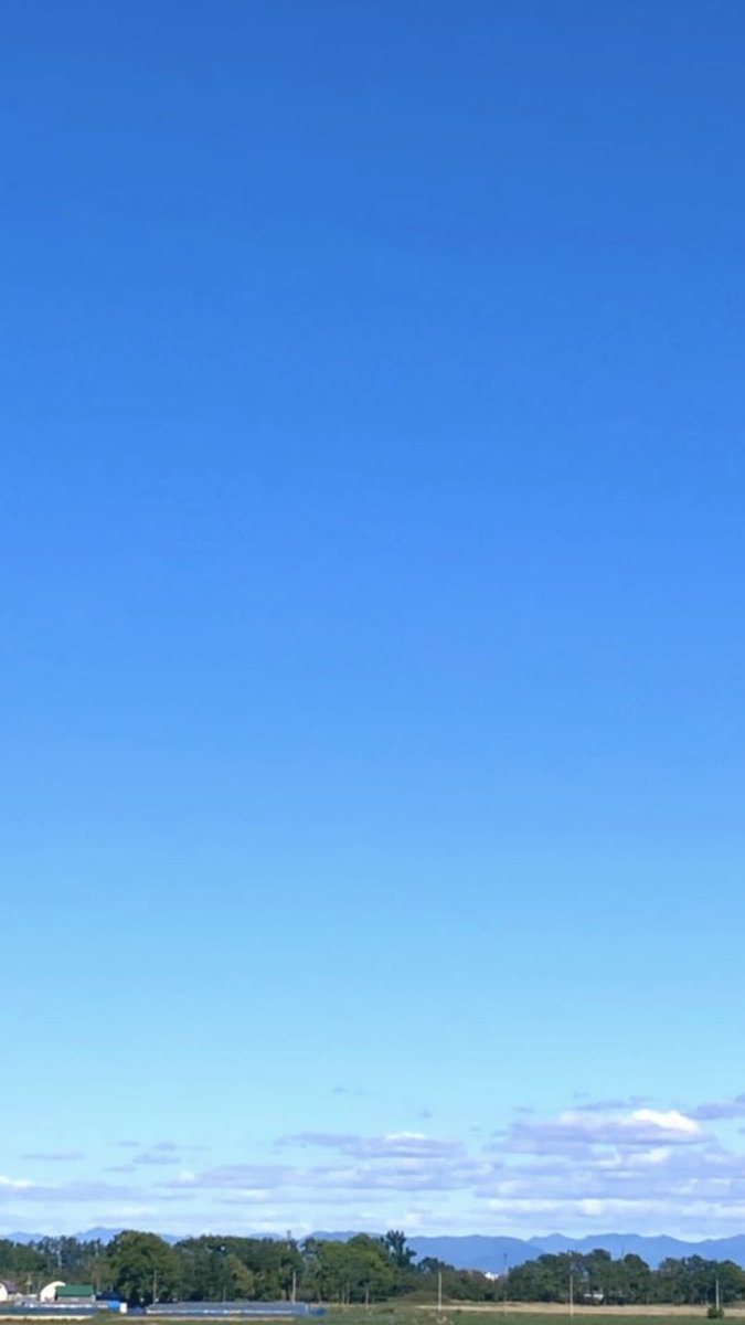 いっく❣️*･゜ﾟ･*:.｡..｡.:*･' tweet media