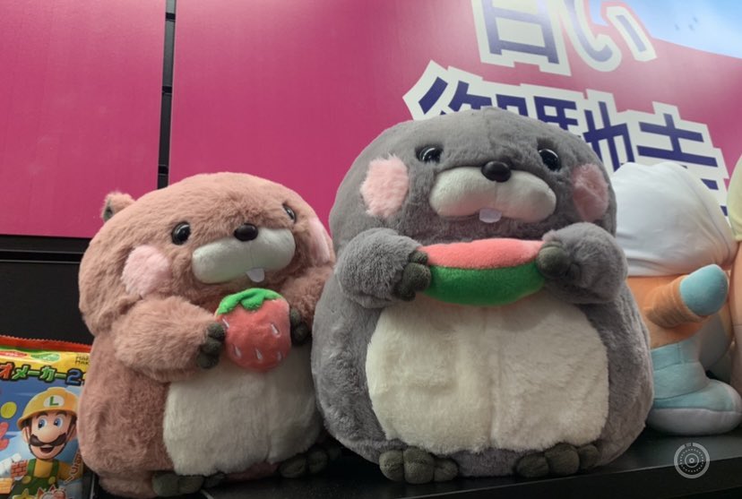 kirs🧸 tweet media