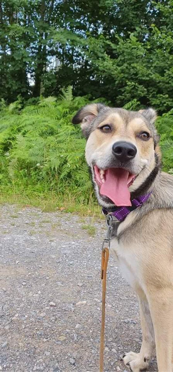 I need a responsible adult to take me phone from me when drinking!
Meet flo…. Another rommie, coming soon 🙈