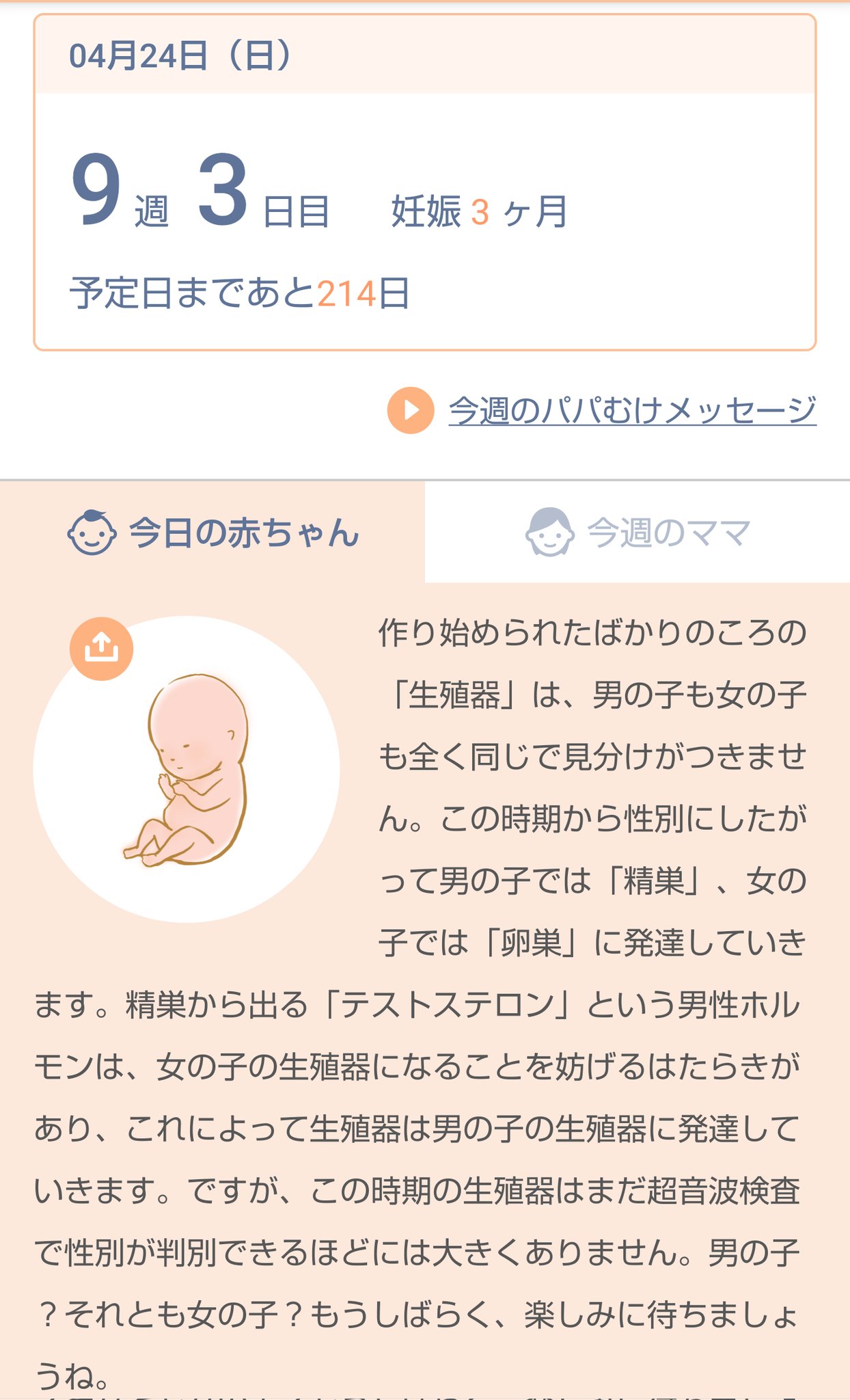 優月 のあ Youtube 動画 アップ中 男 女 胎児 妊娠 妊婦 惡阻 吐きづわり つわり 性別 生殖器 さて どっちに なるのかな ˇwˇ T Co Goqcorkyhz Twitter