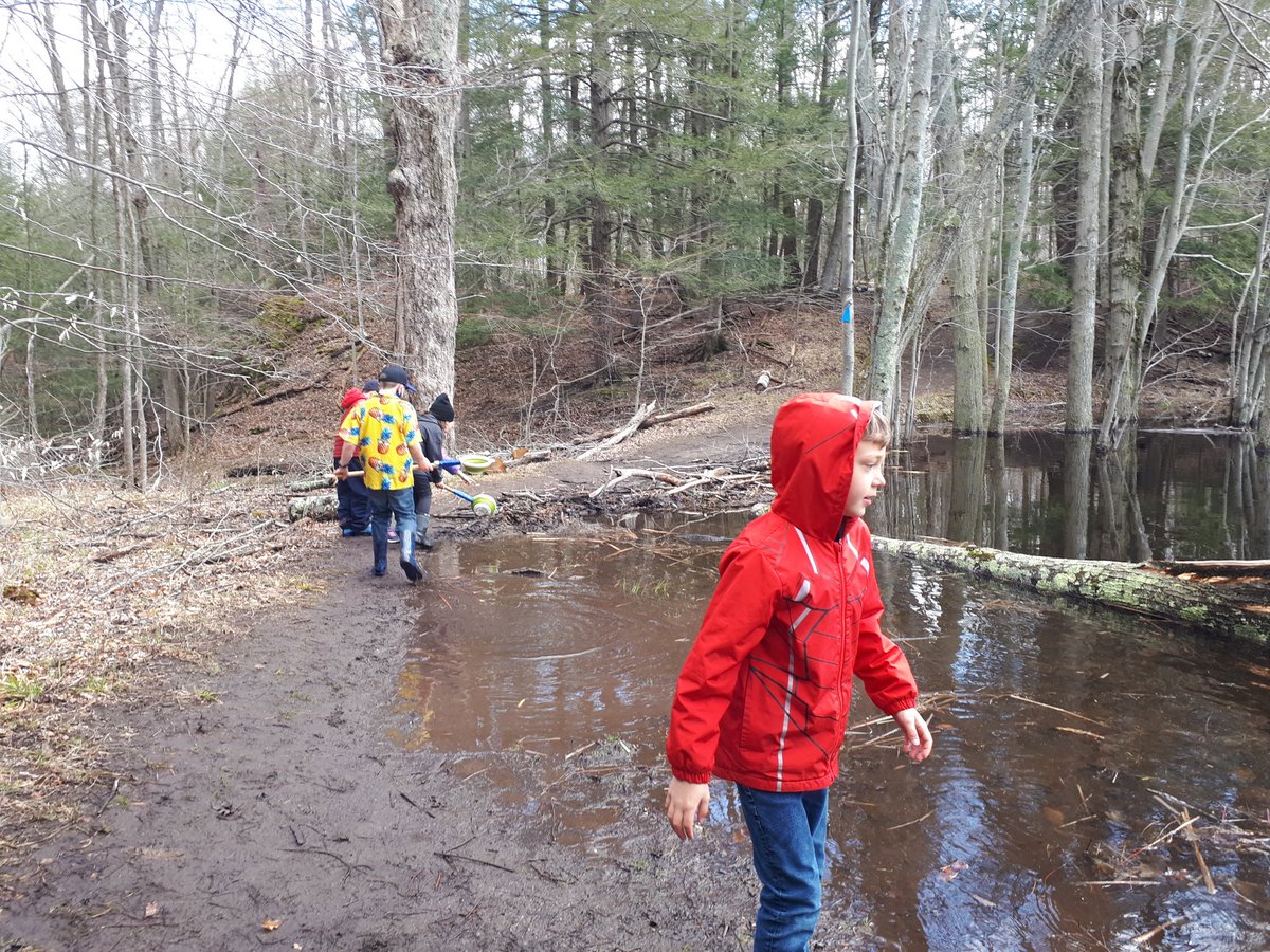 We found so many cool critters today in the pond! <a href="/TPCS_LDSB/">TPCS Elem School</a> <a href="/gouldlake_LDSB/">@gouldlake_LDSB</a> <a href="/LimestoneDSB/">Limestone District School Board</a> thank you for a fun filled day!