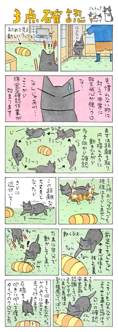 念には念を│フェリシモ猫部 https://t.co/lVkTaGDdRD 