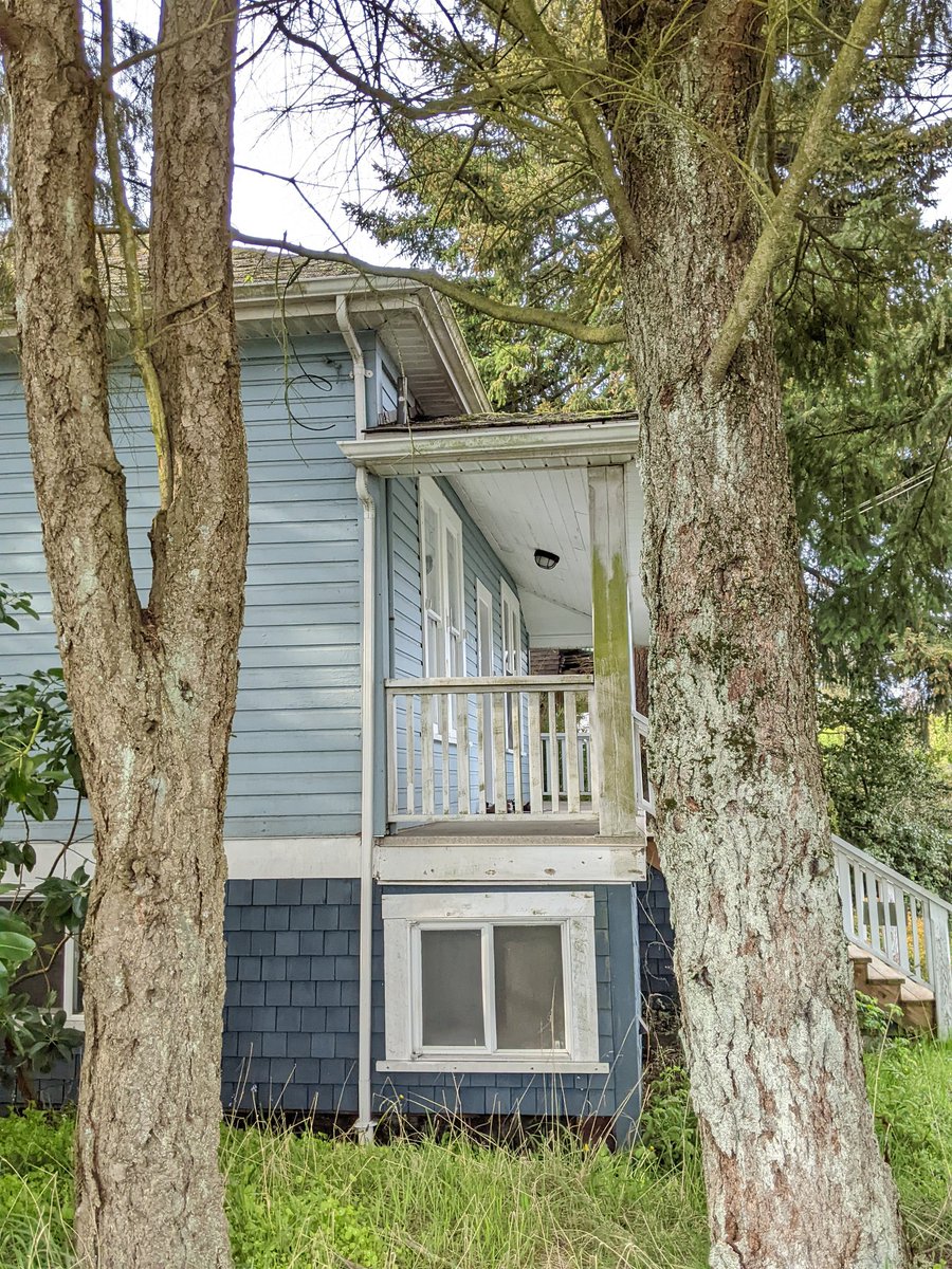 odiesislandlife's tweet photo. West coast funky homes 🥰 #midisland #islandlife #canada https://t.co/OC287wKXjc
