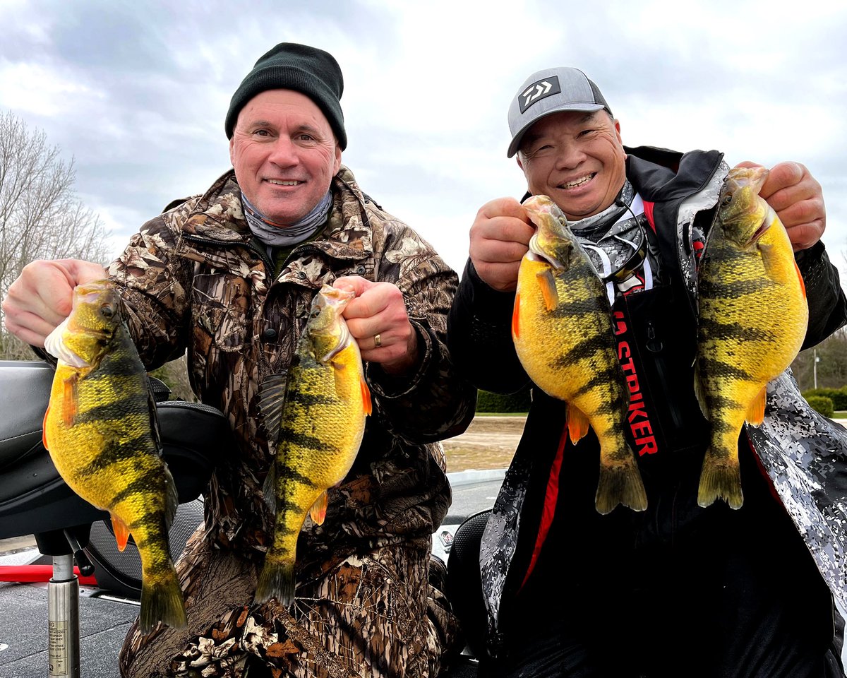 FishHardDave's tweet photo. It was a windy wet cold day but the big girls were chewing! Crazy weights at the 2022 Mark McKeown Memorial Perch Open! We managed a 2nd place finish behind a great winning weight of 24.25 lbs. by Scott Burns & Jasper Zhang! Great job boys, Congrats! #NGTAOpen #LakeSimcoePerchin https://t.co/4SLnKhffZg