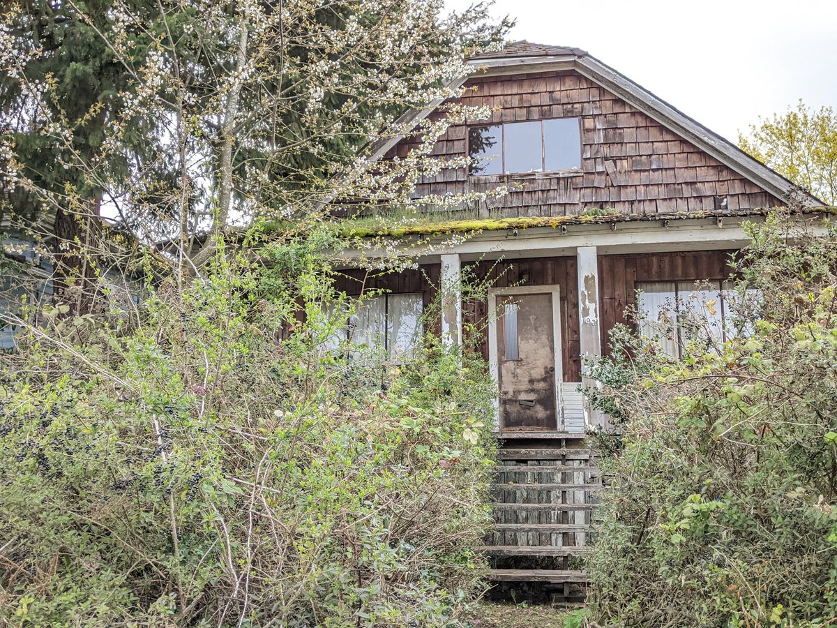odiesislandlife's tweet photo. West coast funky homes 🥰 #midisland #islandlife #canada https://t.co/OC287wKXjc