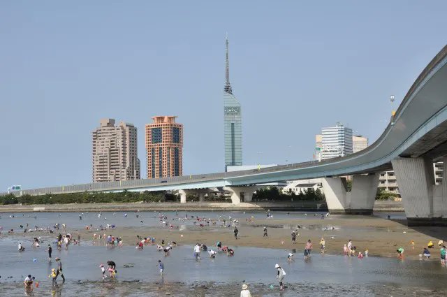 FukuokaNow's tweet photo. Clam Digging Guide 2022
https://t.co/ZTwkMiLT8b
#fukuoka #fukuokaguide #clamdigging #fukuokanow #福岡 #潮干狩り #福岡の潮干狩り https://t.co/k8Gescapid