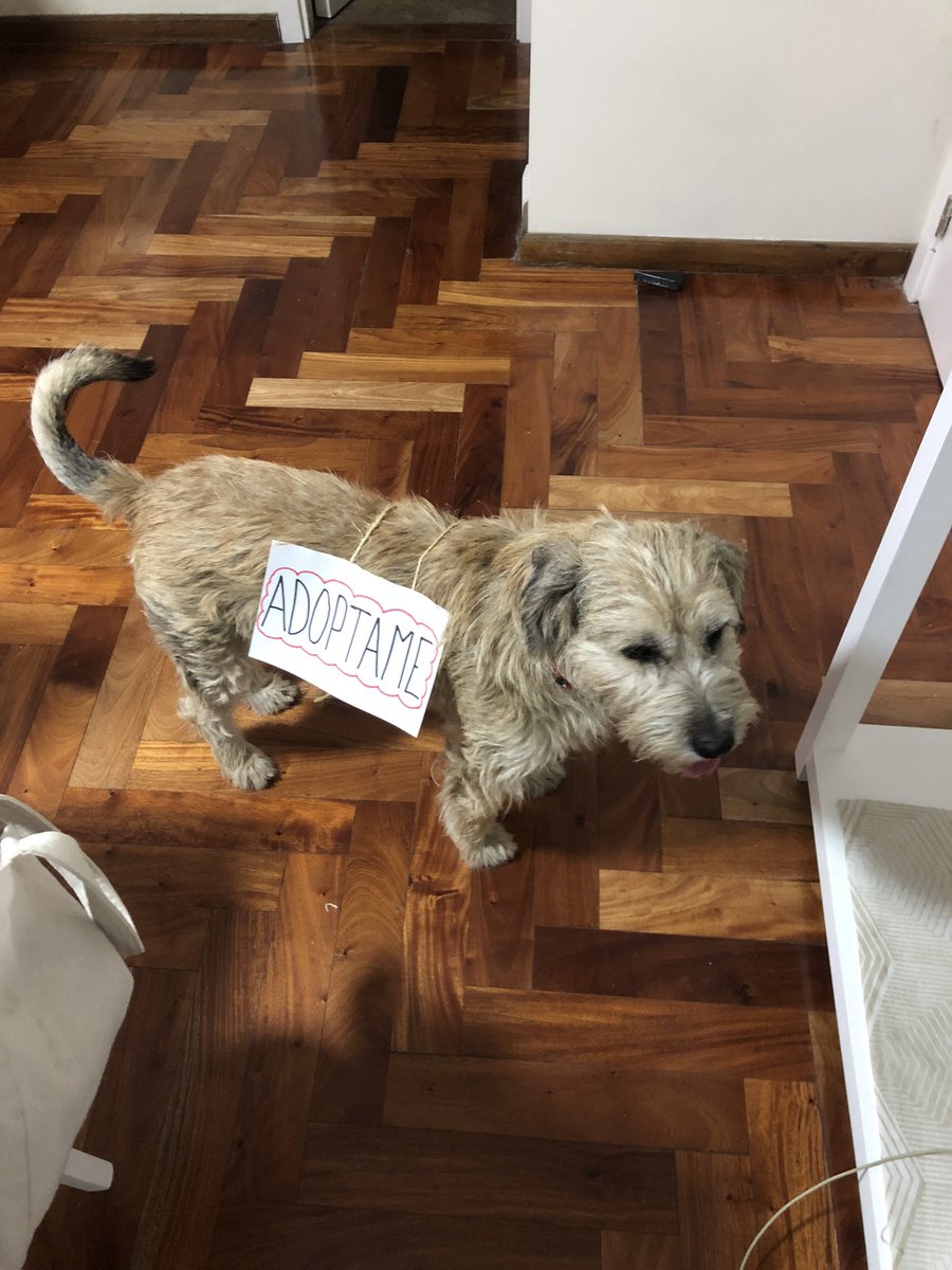 Nazira151's tweet photo. Hoy salimos al faro con Brunito pero no tuvimos suerte 😭🥺 @VivireNuevaCba https://t.co/ceWk7bycit