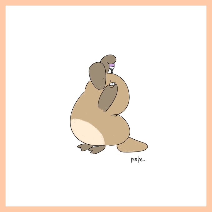 カモノハシのtwitterイラスト検索結果