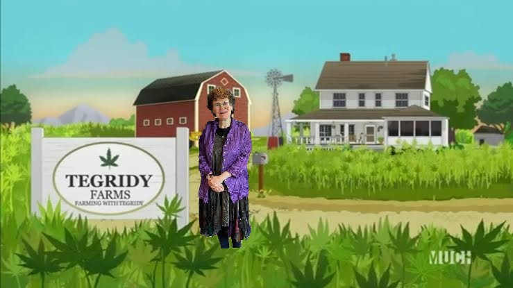 Nothing like a little Tegridy.
<a href="/Rubenstein_Kim1/">Kim Rubenstein</a>
#AusVotes22 #tegridyfarms