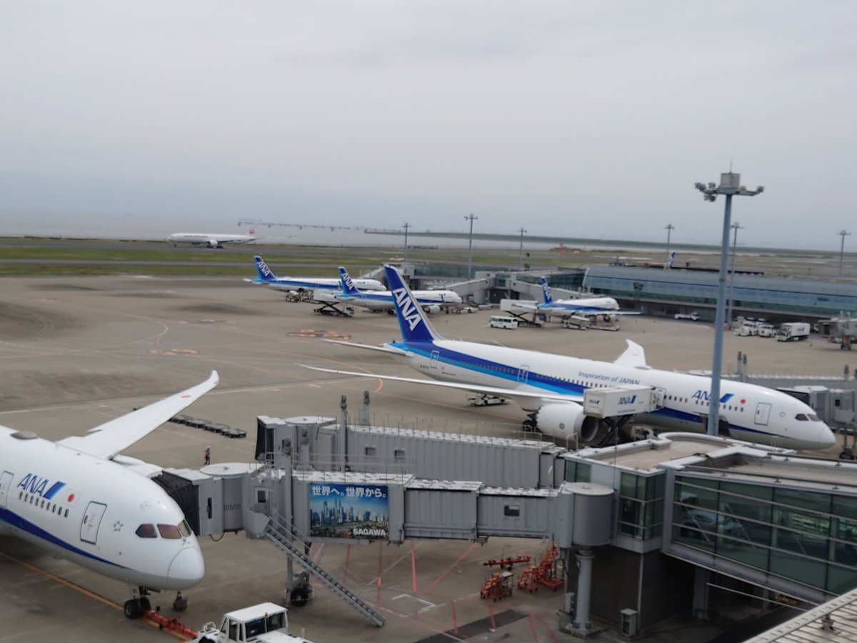 rongsen9's tweet photo. #JA937A (福岡行 #NH249 )787では珍しいGE製のエンジン搭載。
展望デッキにいてもPPはたまらない。ステータス防衛戦、厳しい。 https://t.co/HRkzip9i9A