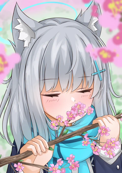 桜良い香り
 #ブルアカ 