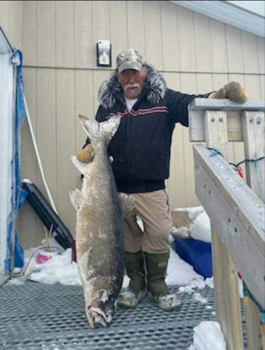 povertybayhunt1's tweet photo. Joshau Curley ,71 yrs old ,travelled 300  miles  across the artic ,to catch this trout ,Arivat ,Nunavut ,huge lake trout😉🙃🙂 thnx 4 sharing 🙂 https://t.co/i8kLSYb7wl